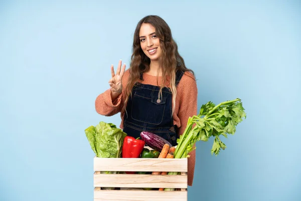Farmer with freshly picked vegetables in a box happy and counting three with fingers