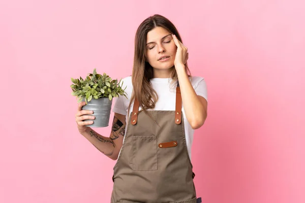 Tuinier Vrouw Houden Van Een Plant Geïsoleerd Roze Achtergrond Met — Stockfoto