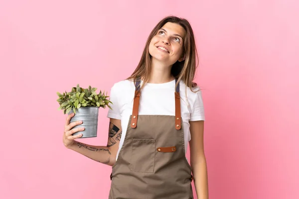 Tuinier Vrouw Houden Van Een Plant Geïsoleerd Roze Achtergrond Denken — Stockfoto