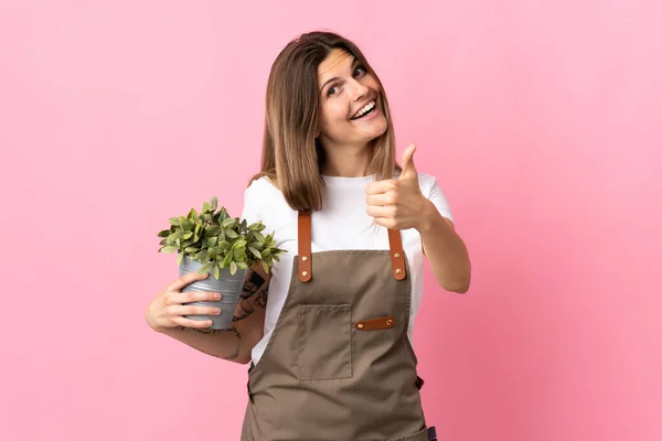 Donna Giardiniere Che Tiene Una Pianta Isolata Sfondo Rosa Con — Foto Stock