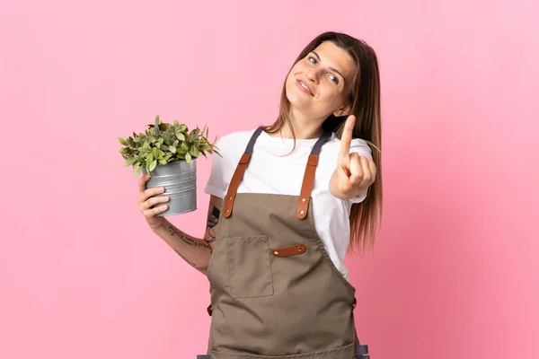Tuinier Vrouw Houden Van Een Plant Geïsoleerd Roze Achtergrond Tonen — Stockfoto