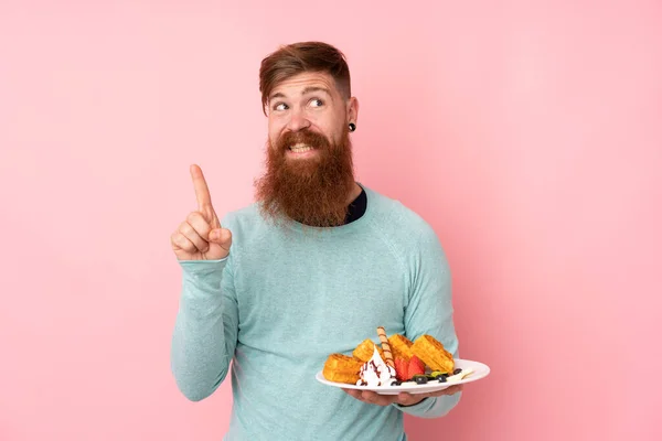 Redhead Άνθρωπος Μακριά Γενειάδα Κρατώντας Βάφλες Πάνω Από Απομονωμένο Ροζ — Φωτογραφία Αρχείου