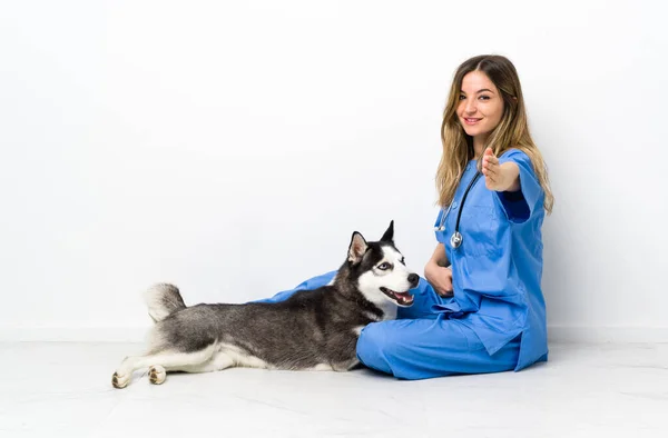 Κτηνίατρος Σιβηρίας Husky Σκυλί Κάθεται Στο Πάτωμα Χειραψία Μετά Από — Φωτογραφία Αρχείου