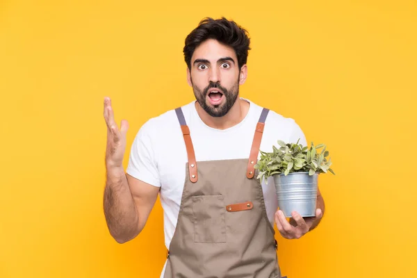 Gardener man with beard over isolated yellow background with surprise facial expression