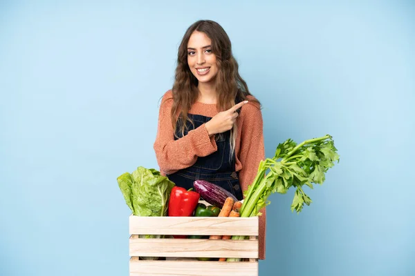 Rolnik Świeżo Zebranymi Warzywami Pudełku Wskazującym Stronę Aby Przedstawić Produkt — Zdjęcie stockowe