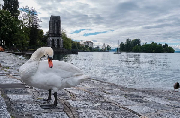 Savaş Anıtı, Verbania Pallanza, Piedmont, İtalya