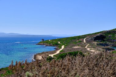 Capo San Marco plajı, Cabras'taki sardunya plajı