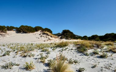 Capo Comino yakınlarındaki Le Dune plajı, Siniscola, Nuoro