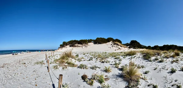 Stranden Dune Nära Capo Comino Siniscola Nuoro Royaltyfria Stockbilder