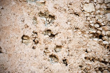 Cagliari, Sardunya, İtalya 'daki ortaçağ San Michele şatosunun antik harabeleri