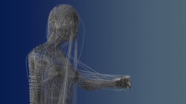 Çizgilerle yapılmış 3D insan figürü