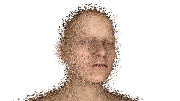 3d render. Head Human shattered portrait