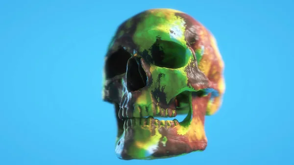 Render Colored Skull Illustration — Stock Photo, Image