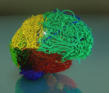 3d renkli beyin illüstrasyon