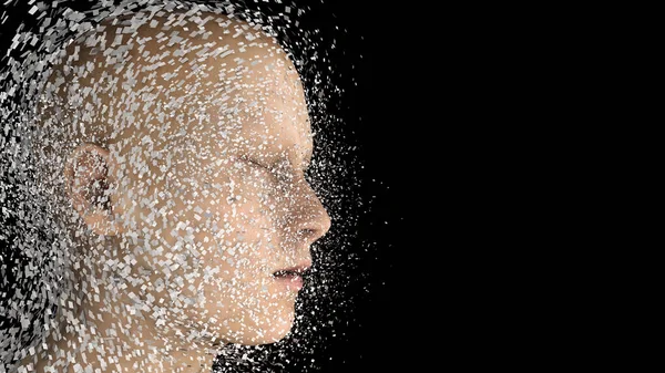 3d render. Head Human shattered portrait