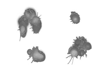 Grafiti sıvı lekeler beyaz izole arka plan üzerine püskürtülür