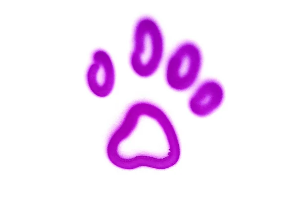 Graffiti pet 's paw sinal pulverizado sobre fundo isolado branco — Fotografia de Stock