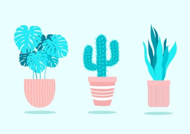 Pot plant frame. Home, office flowers vector icon illustration. Green plants in brown clay pots flat style design vector collection