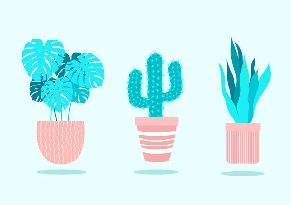 Planta Maceta Marco Inicio Oficina Flores Vector Icono Ilustración Plantas — Vector de stock