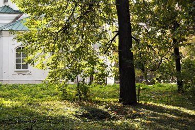 Bu sonbahar güneş, ışık
