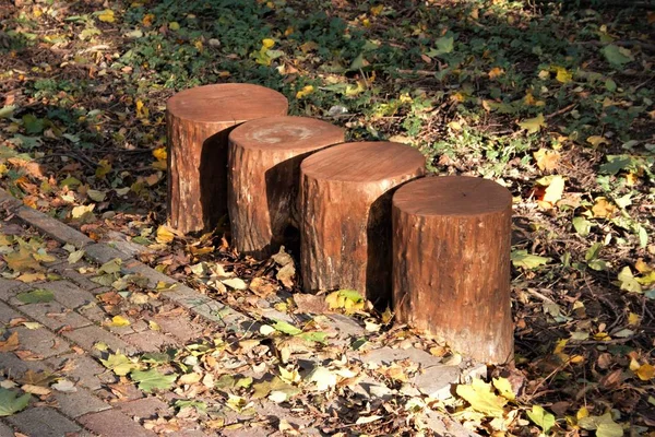 Bu sonbahar güneş, ışık