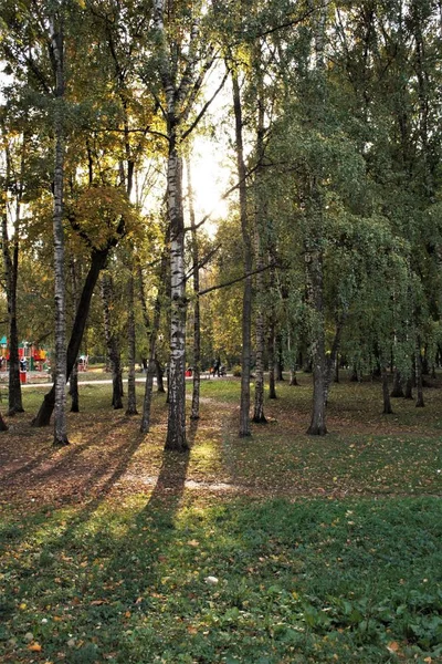 Este Sol Otoño Luz — Foto de Stock