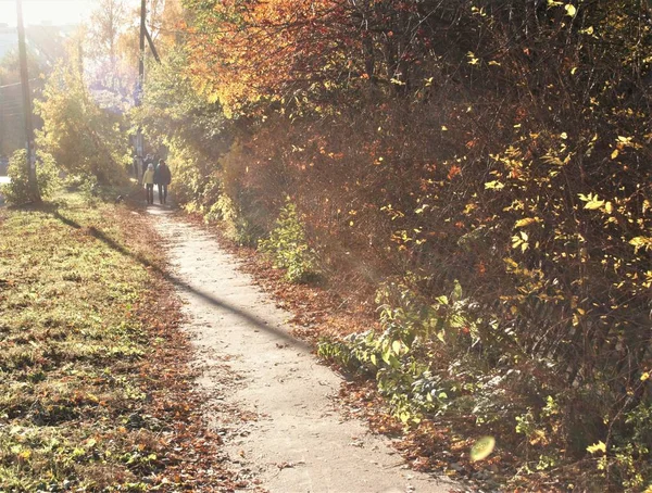 Diese Herbstsonne Licht — Stockfoto