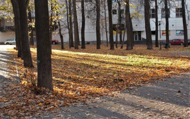 Bu sonbahar güneş, ışık