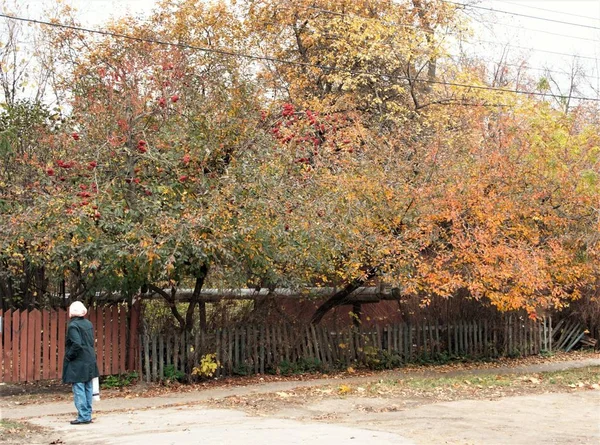 Bu sonbahar güneş, ışık