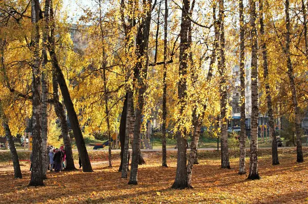 Bu sonbahar güneş, ışık