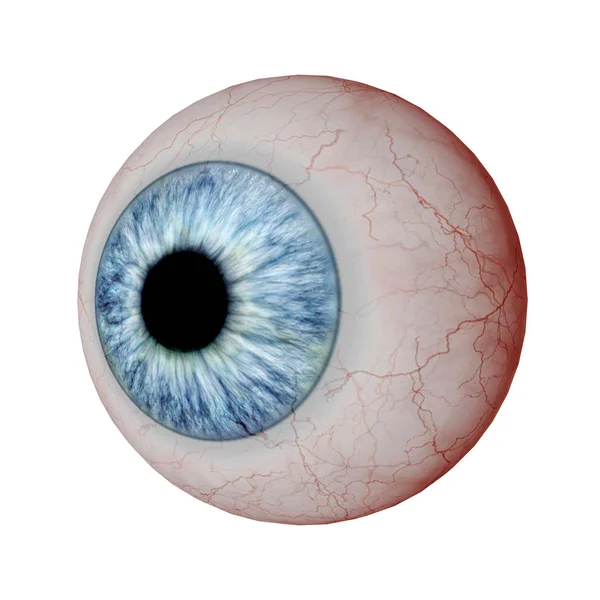 Eyeball isolated on white — Stock Photo © ignatyeva #5152875