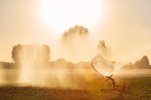 Súlyos Szárazság Hollandiában Termőföld Öntözés Sprinkler — Stock Fotó