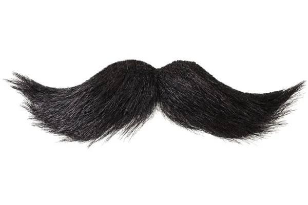 Curly Black Moustache Isolated White — Stock Photo, Image