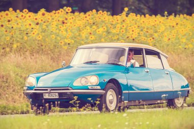 Retro Vintage Citroen Ds görüntüsünü Dieren, Hollanda çiçek açan ayçiçeği olan bir alana önünde yerel bir yolda tarz