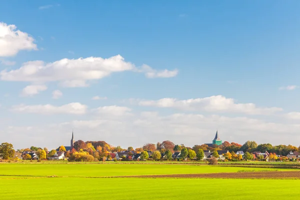 荷兰格尔德兰省的小村庄 前面有草地 — 图库照片