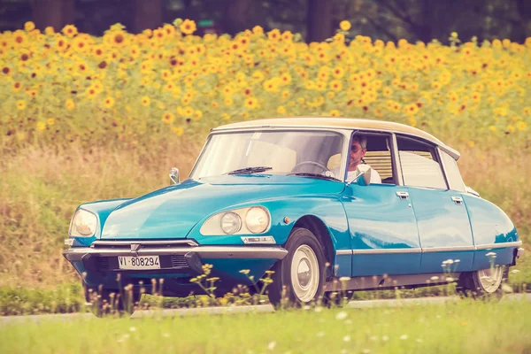 Retro Styled Image Vintage Citroen Local Road Front Field Blooming — Stock Photo, Image