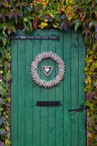 stock image Old green barndoor surrounded by beautiful ivy during autumn