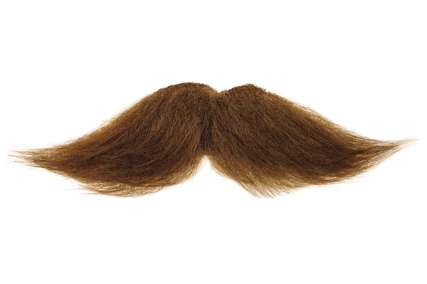 Mustache Marrón Rizado Aislado Sobre Fondo Blanco —  Fotos de Stock