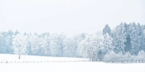 Vista Panorámica Invierno Con Nieve Del Posbank Holandés Parque Nacional —  Fotos de Stock