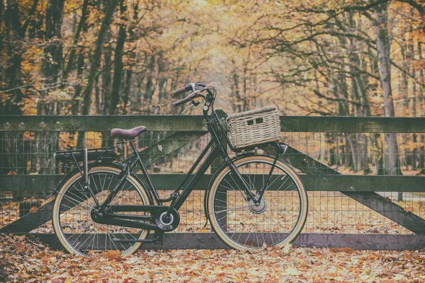 レトロなスタイルのオランダ Veluwe の秋で電気貨物自転車のイメージ — ストック写真