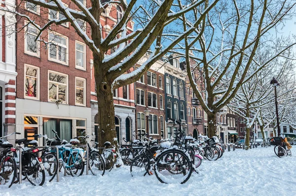Náměstí Zimě Sněhem Amsterdam Zahrnuty Jízdní Kola — Stock fotografie