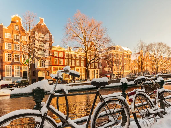 Jízdní Kola Pokrytá Sněhem Vedle Kanálu Zimě Amsterdamu — Stock fotografie