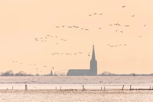 Eglise Hollandaise Hiver Avec Des Oies Volant Par — Photo
