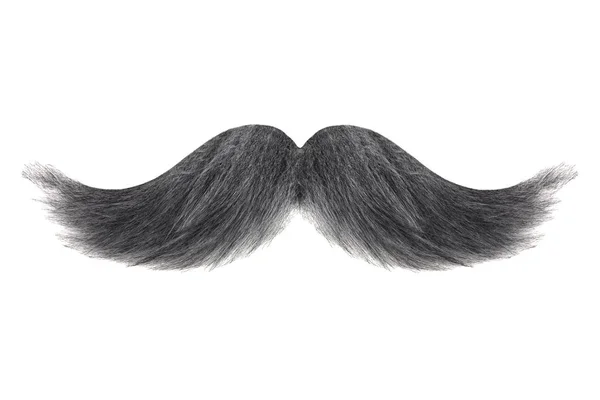 Preto Encaracolado Com Bigode Cinza Isolado Fundo Branco — Fotografia de Stock