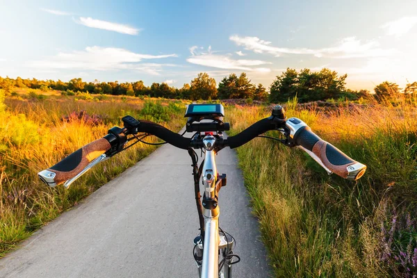 Electric bicycle in Dutch national park The Veluwe with blooming heathland, The Netherlands