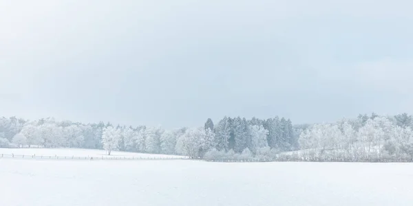 Escena Invierno Con Nieve Posbank Holandés Parque Nacional Veluwezoom —  Fotos de Stock