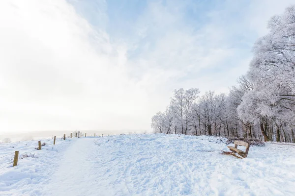 Escena Invierno Con Nieve Posbank Holandés Parque Nacional Veluwezoom —  Fotos de Stock