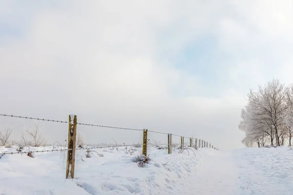 Escena Invierno Con Nieve Posbank Holandés Parque Nacional Veluwezoom —  Fotos de Stock