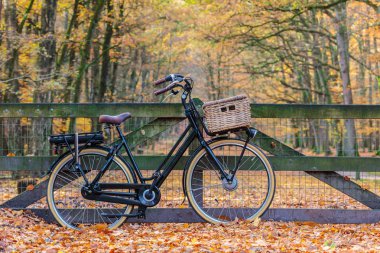 Hollandalı elektrikli siyah kargo Bisiklet Milli Parkı Veluwezoom sepete ile