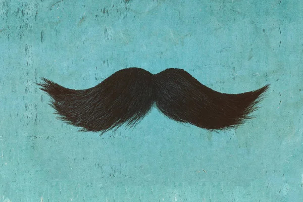Svart lockig mustasch framför en blå bakgrund — Stockfoto